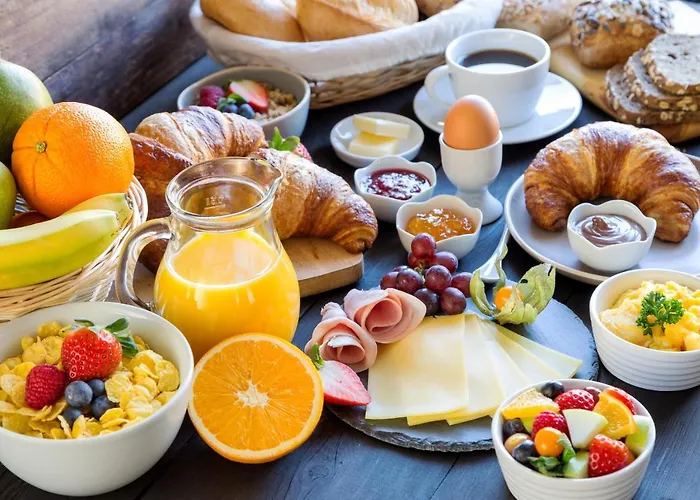 酒店 国会宫酒店 帕伦西亚