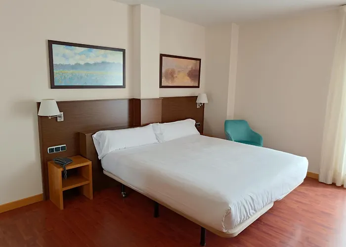 国会宫酒店 3* 帕伦西亚