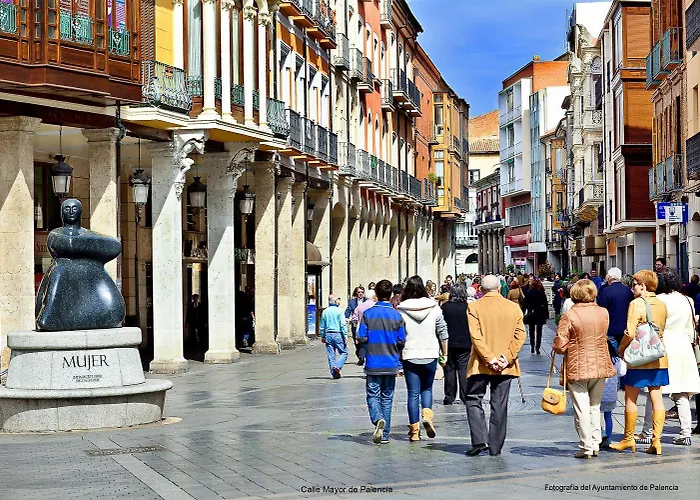 酒店 国会宫酒店 3*