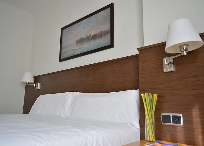 酒店 国会宫酒店 帕伦西亚