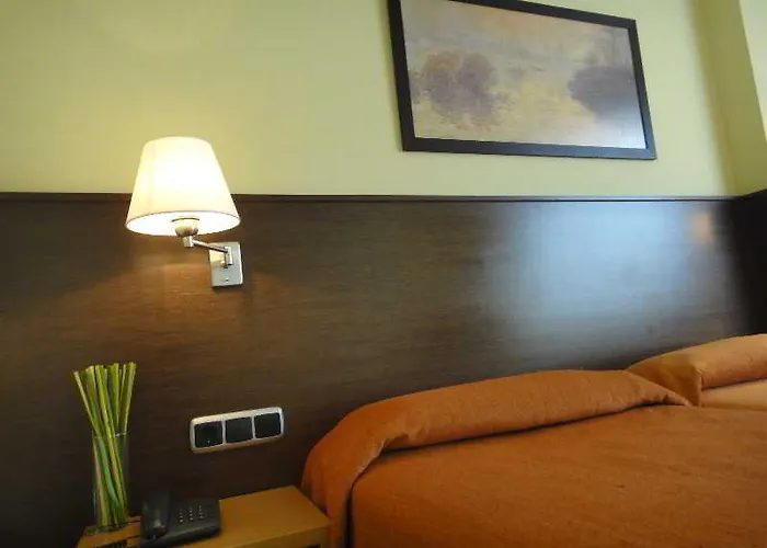 国会宫酒店 酒店 帕伦西亚